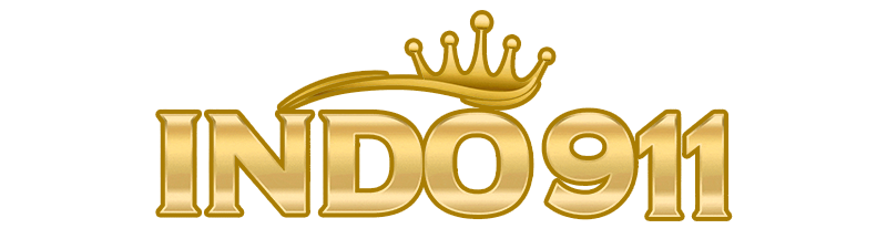 INDO911