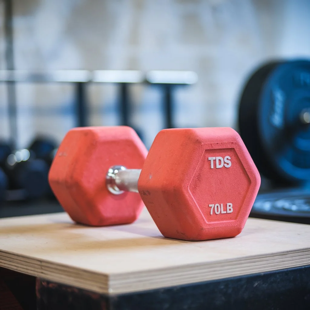 70 Lb Dumbbells