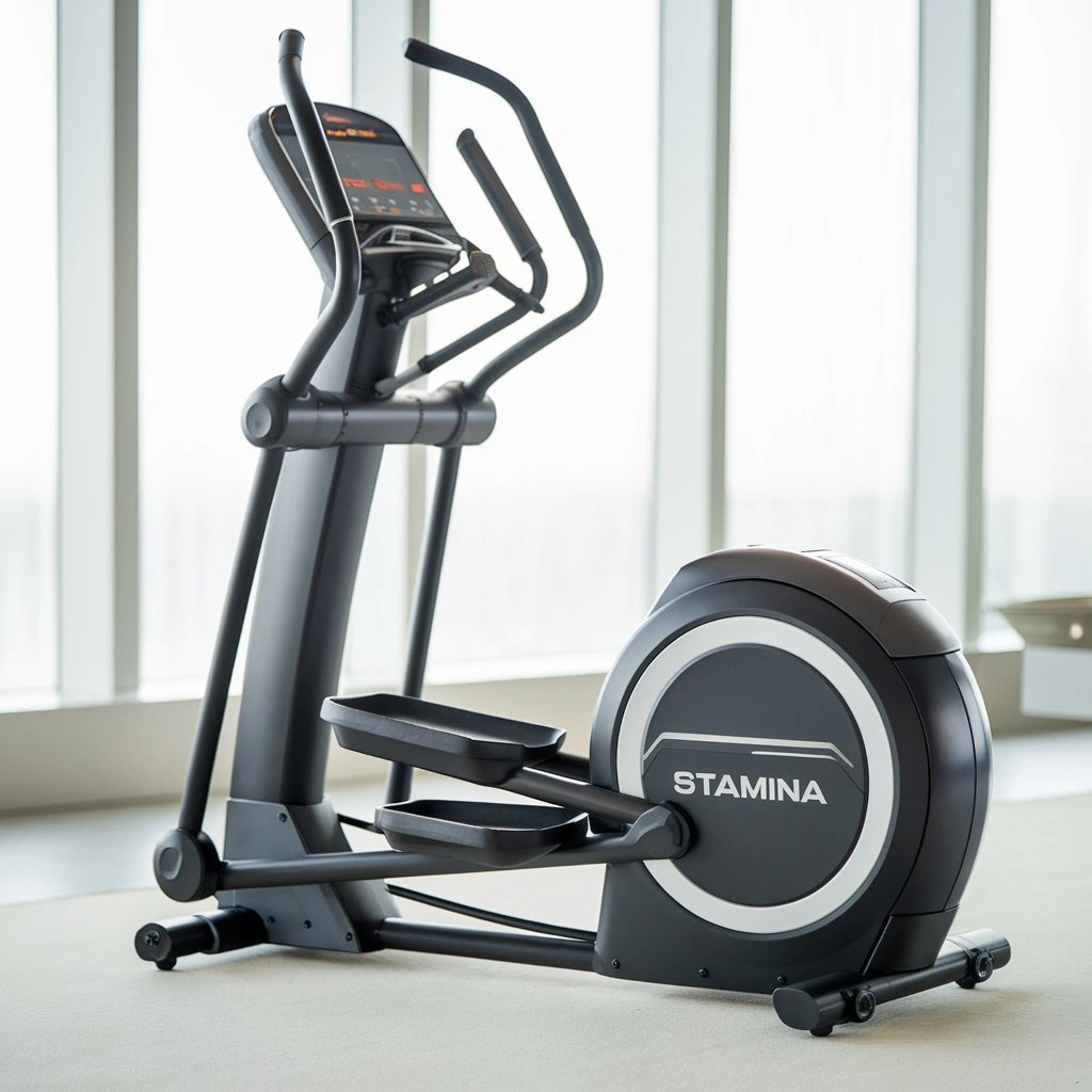 Fitness equipment stores